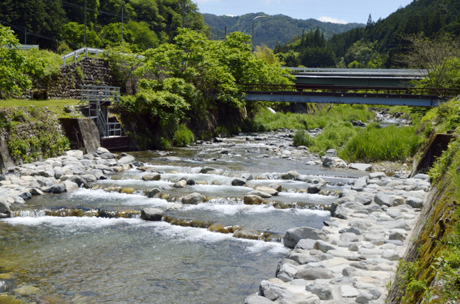 Takeharagawa River: Steps and Pools