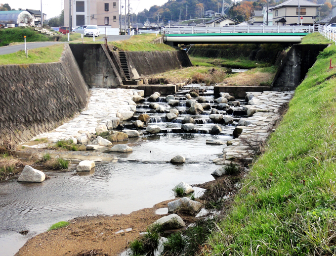 Ichikigawa Fish Ladder: Downstream Side